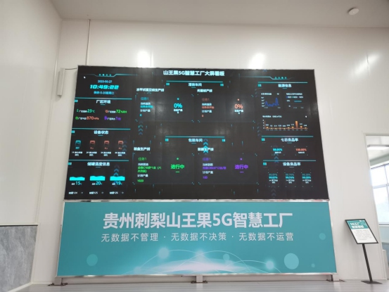 【深耕"四张精品网" 助力中国式现代化开新篇】走进"云上之城"
